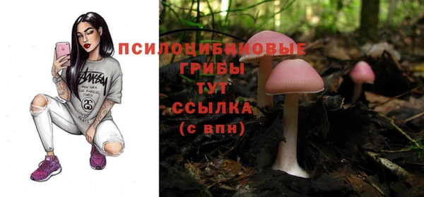 молекула духа Корсаков