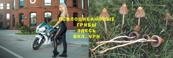 герыч Яровое
