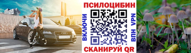 Псилоцибиновые грибы Psilocybine cubensis  хочу   мориарти Telegram  Татарск 
