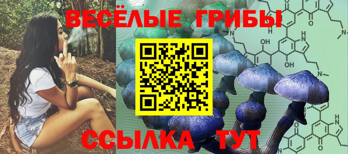 Псилоцибиновые грибы ЛСД Татарск