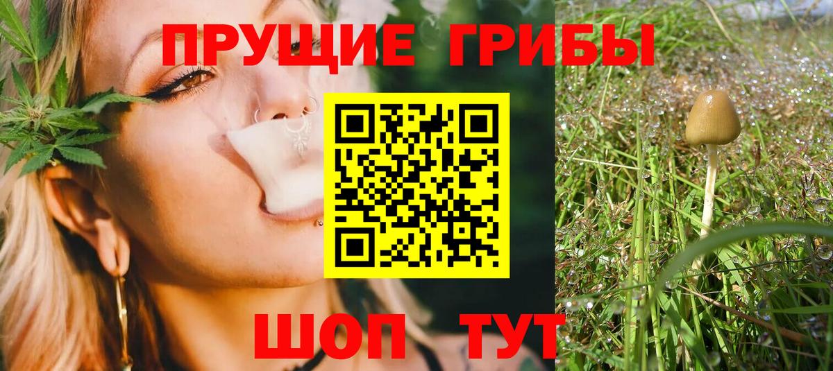 Псилоцибиновые грибы Cubensis  Псилоцибиновые грибы Psilocybine cubensis  Татарск  Вход с VPN 
